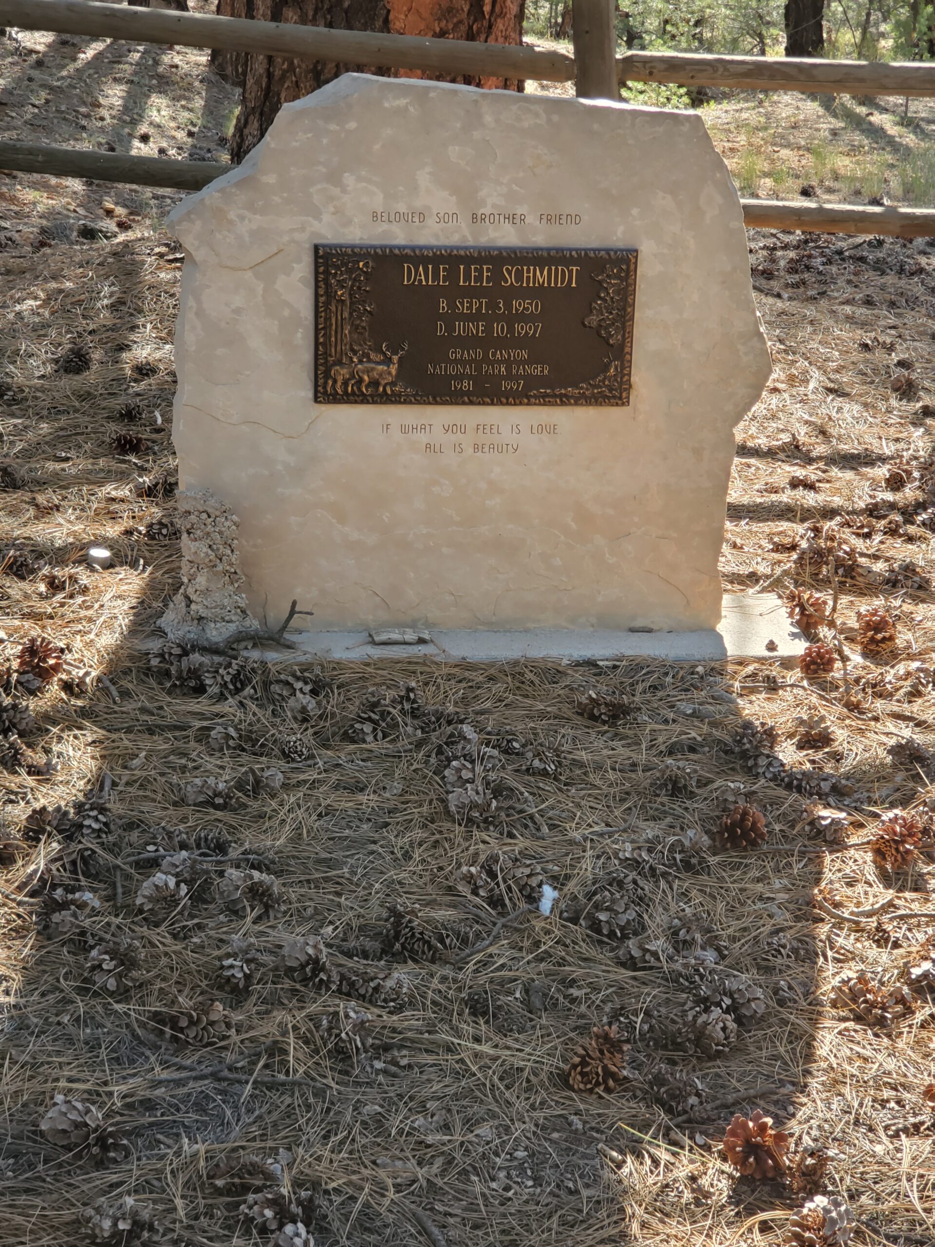 Dale Schmidt Grave