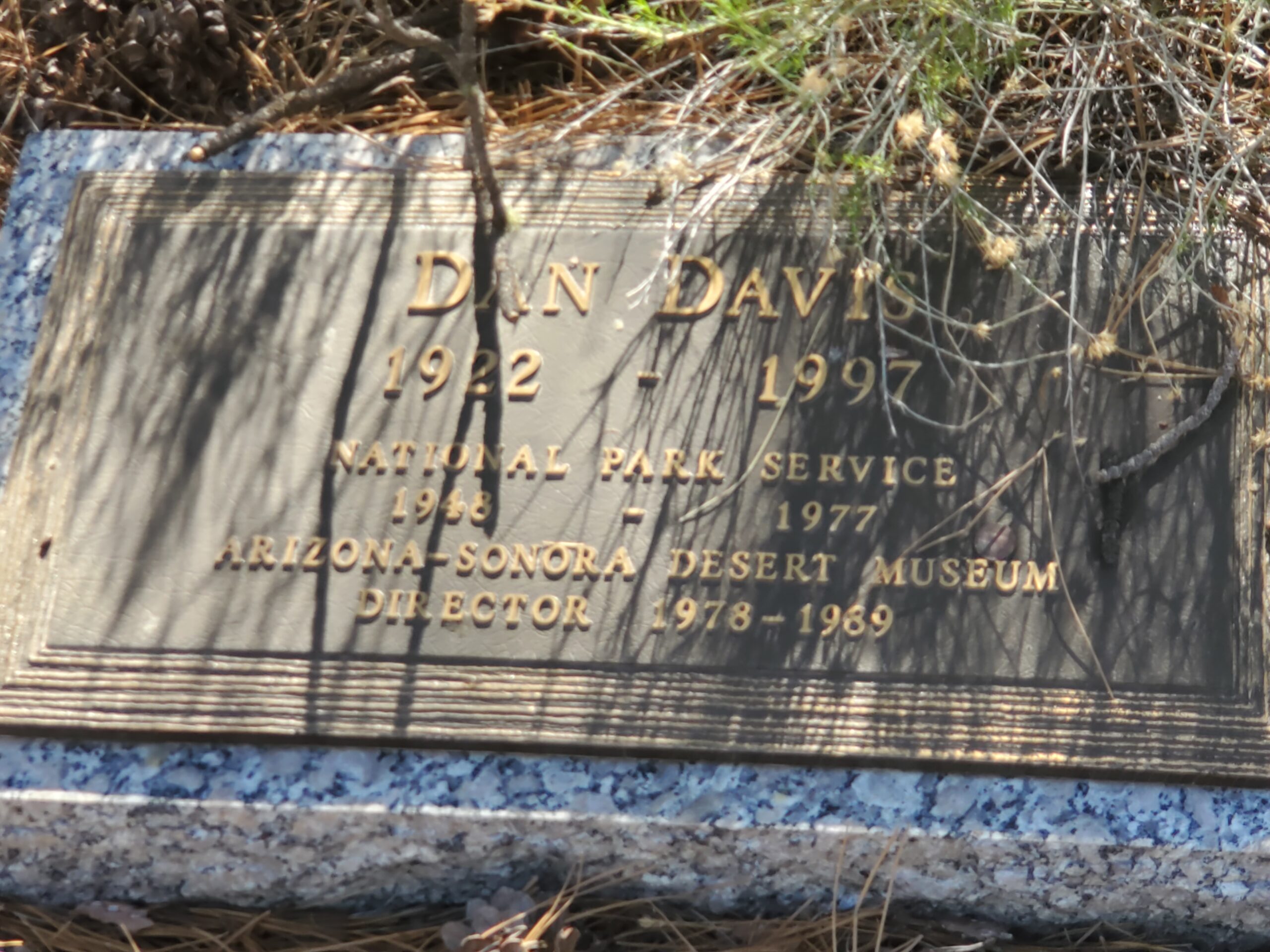Dan Davis Headstone