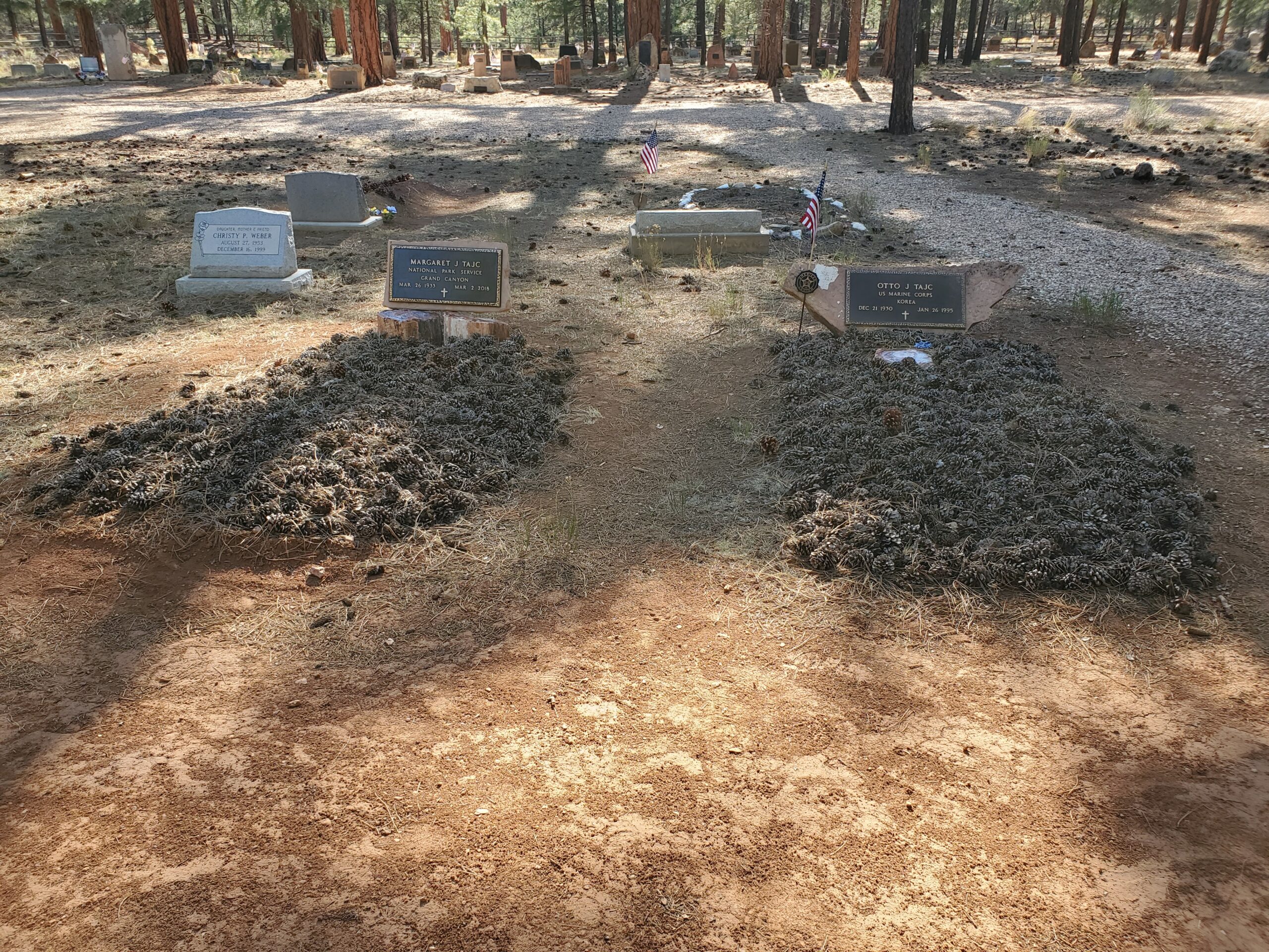 These two graves are littered with a bed of pine cones on each