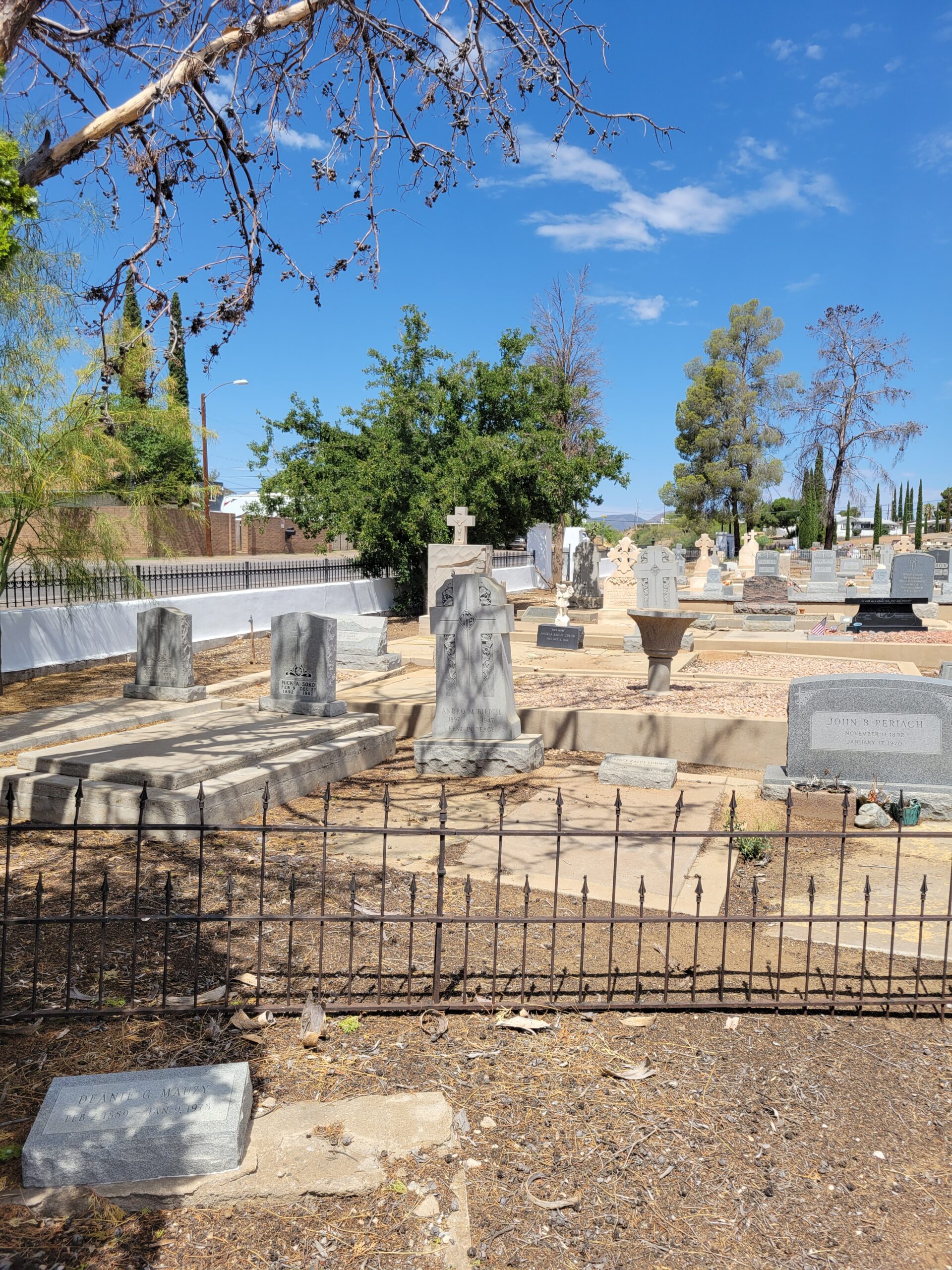 Graves Behind a Fenced Area