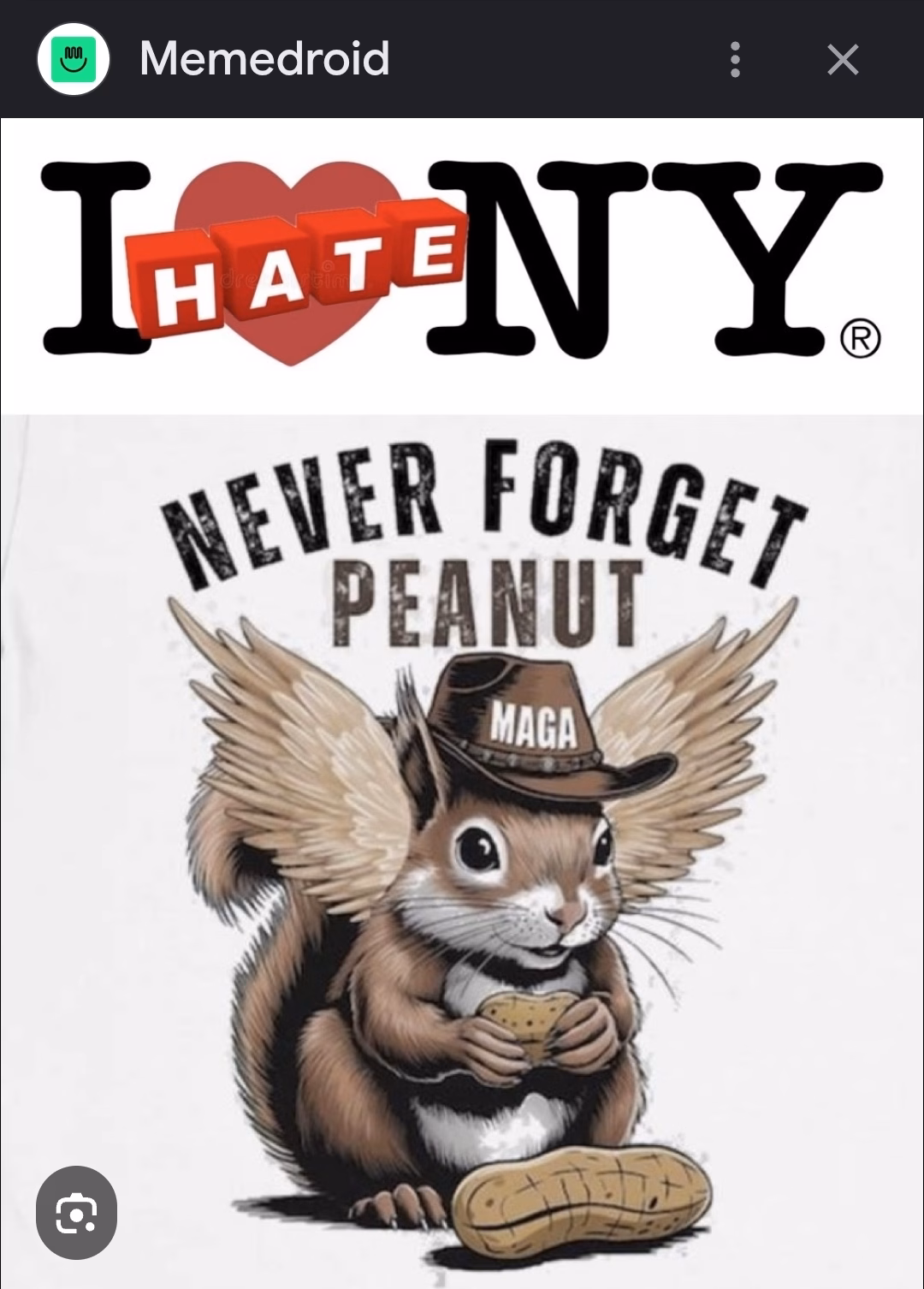 Another Peanut Meme