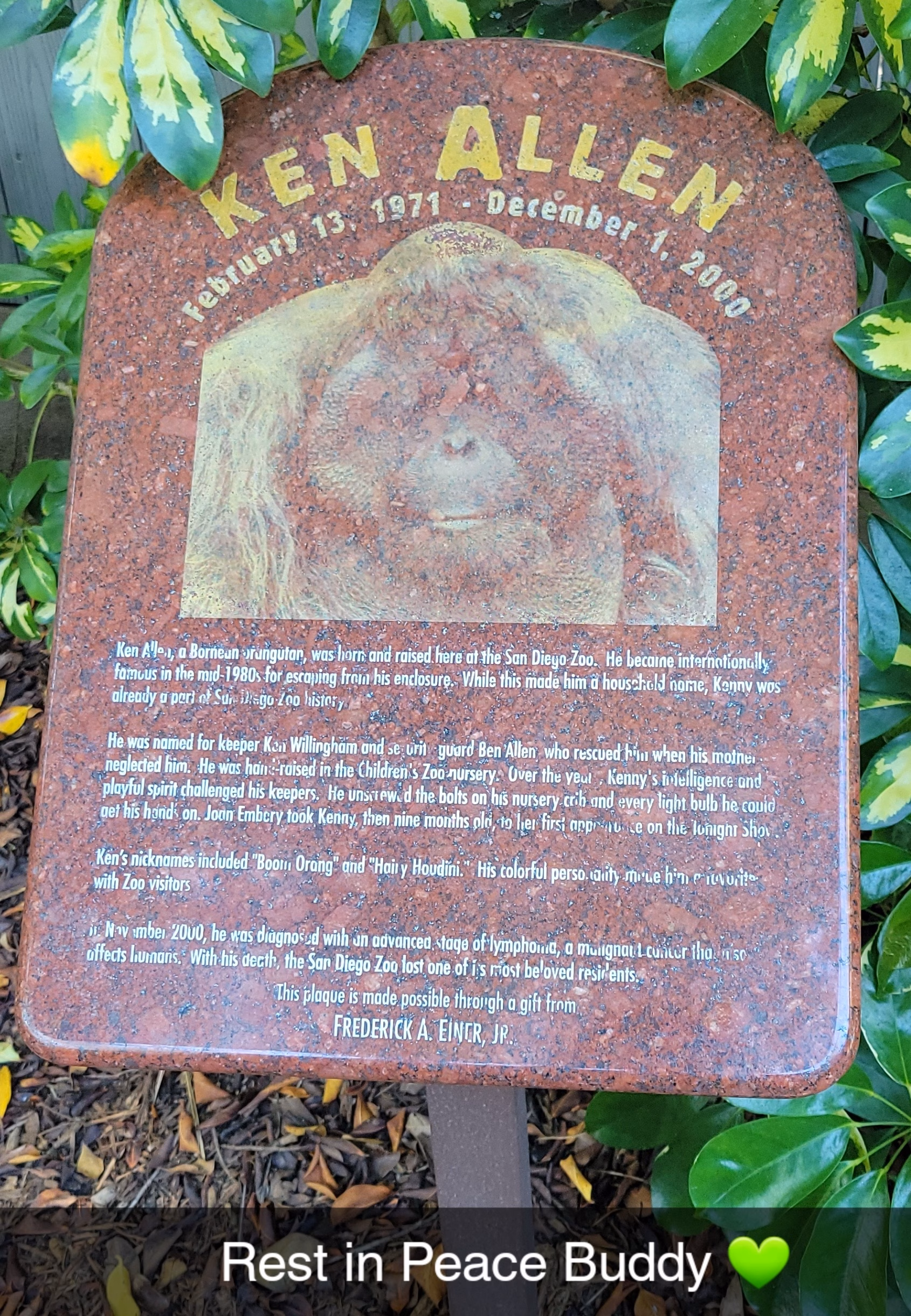 Ken Allen Memorial at the San Diego Zoo